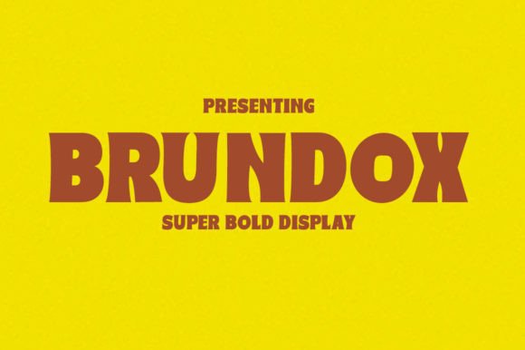 Brundox: Elevate Your Web Design with a Modern Display Font