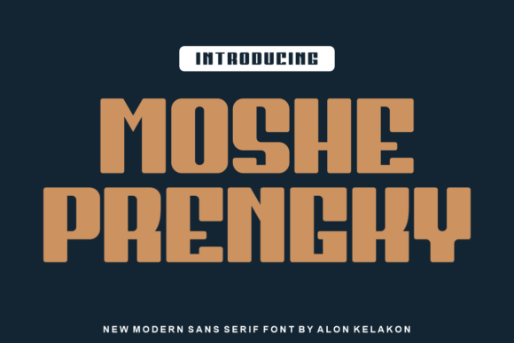 Enhance Your Campaigns with Moshe Prengky Font