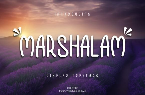 Marshalam: A Designer's Guide to the Modern Display Font